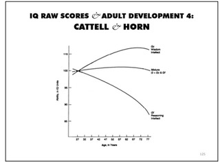 IQ Raw scores